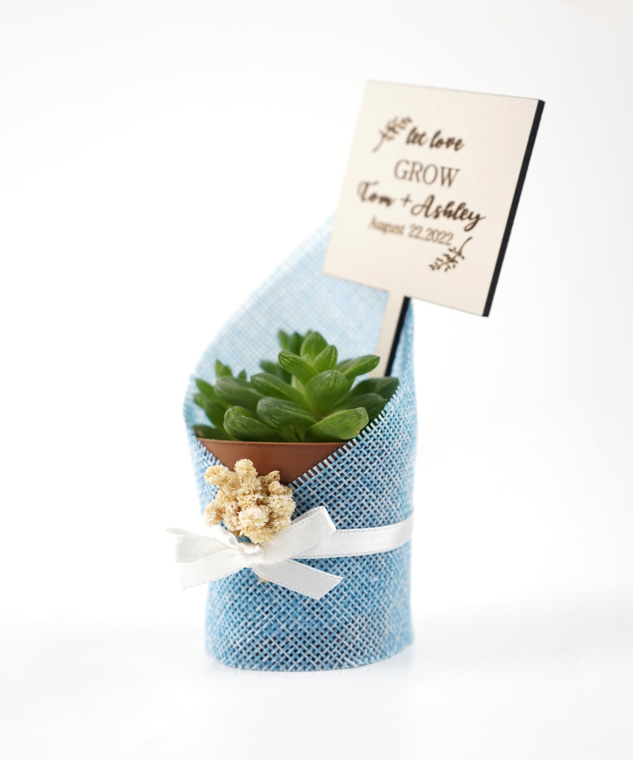 gastgeschenk hochzeit gäste, Sukkulente in dekorativem Sackleinen, hochzeit geschenke für brautpaar, taufe geschenk gäste babyparty, Schön Das Du Da Bist,
