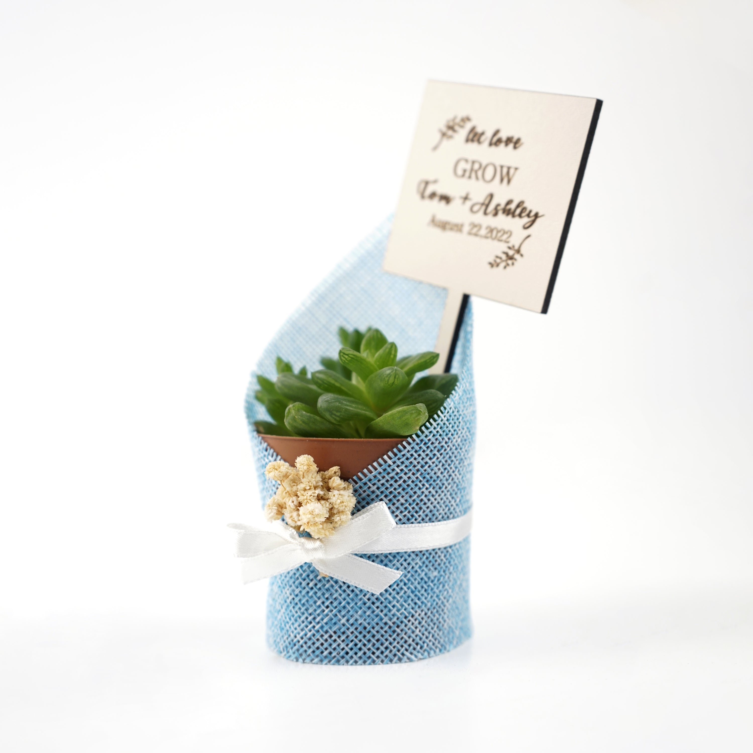 gastgeschenk hochzeit gäste, Sukkulente in dekorativem Sackleinen, hochzeit geschenke für brautpaar, taufe geschenk gäste babyparty, Schön Das Du Da Bist,