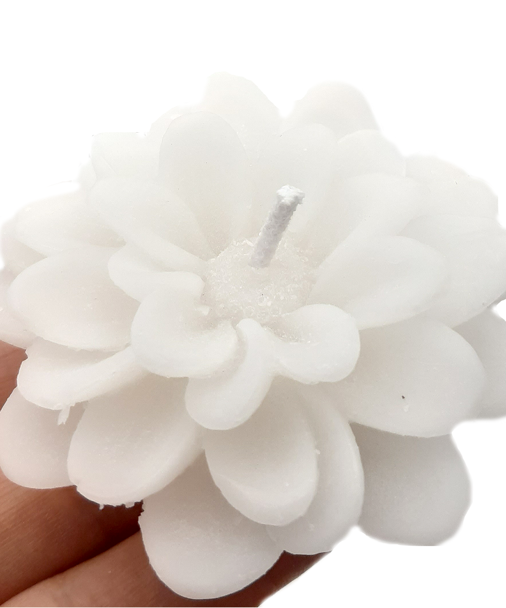 Lotuskerze, Schön Das Du Da Bist, hochzeit geschenke für brautpaar, gastgeschenk hochzeit gäste, taufe geschenk gäste babyparty,