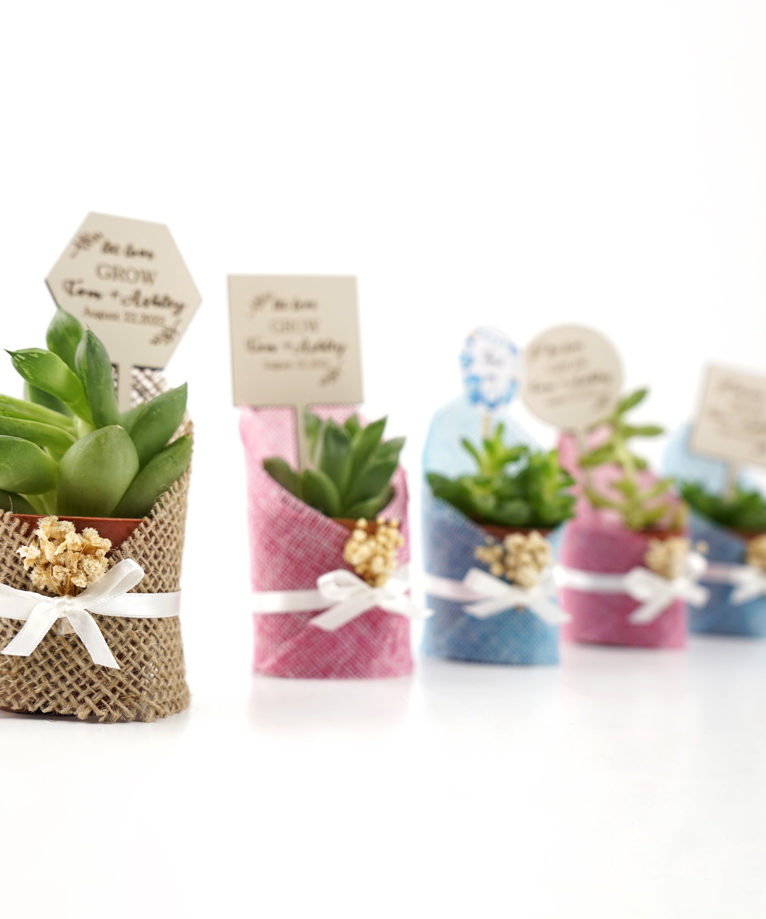 gastgeschenk hochzeit gäste, Sukkulente in dekorativem Sackleinen, hochzeit geschenke für brautpaar, taufe geschenk gäste babyparty, Schön Das Du Da Bist,