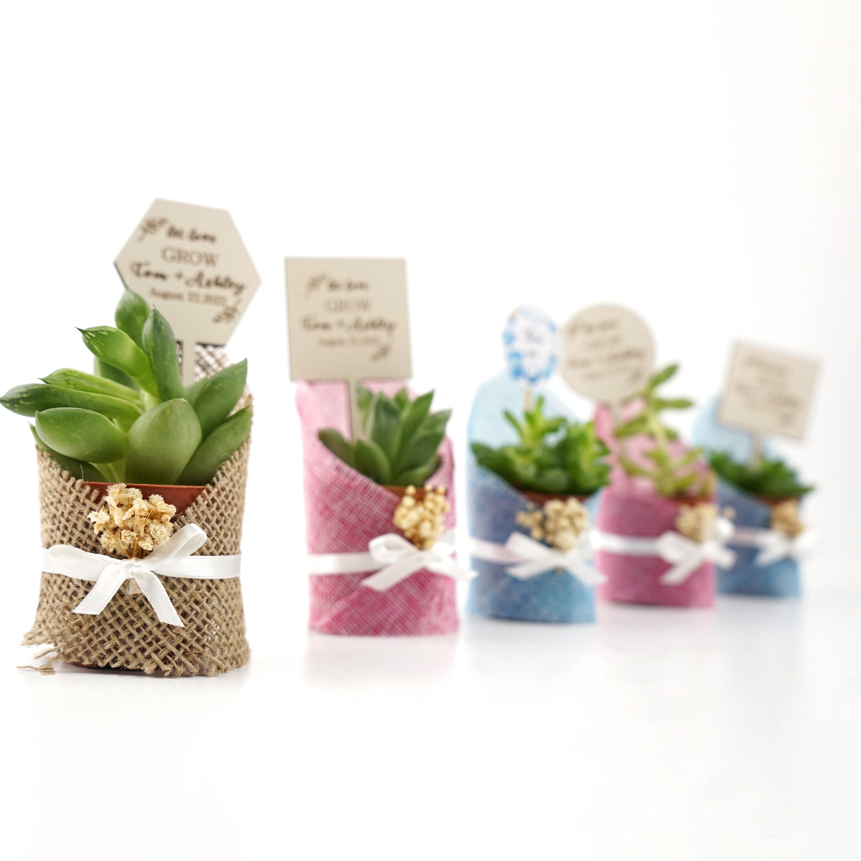 gastgeschenk hochzeit gäste, Sukkulente in dekorativem Sackleinen, hochzeit geschenke für brautpaar, taufe geschenk gäste babyparty, Schön Das Du Da Bist,