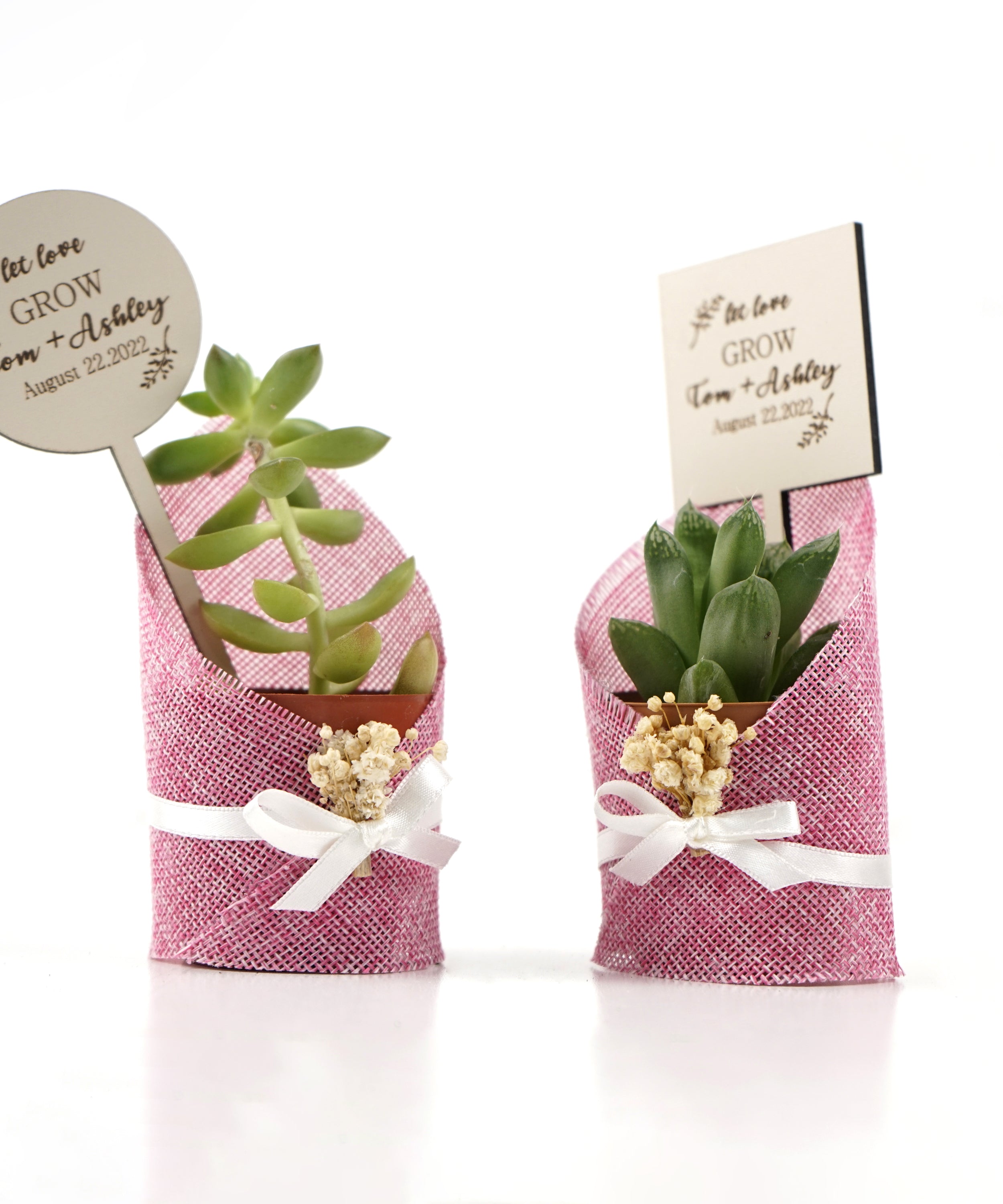gastgeschenk hochzeit gäste, Sukkulente in dekorativem Sackleinen, hochzeit geschenke für brautpaar, taufe geschenk gäste babyparty, Schön Das Du Da Bist,