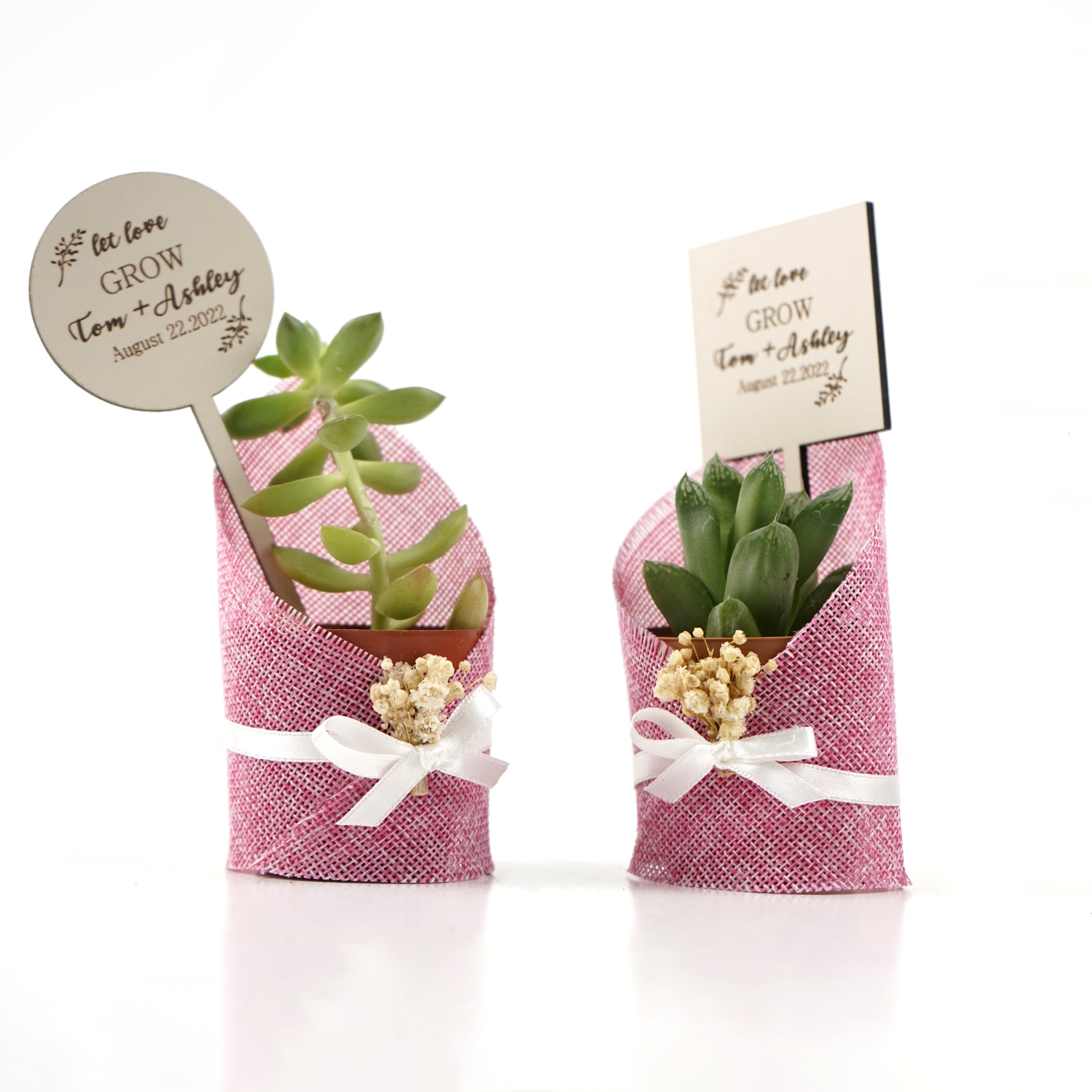 gastgeschenk hochzeit gäste, Sukkulente in dekorativem Sackleinen, hochzeit geschenke für brautpaar, taufe geschenk gäste babyparty, Schön Das Du Da Bist,