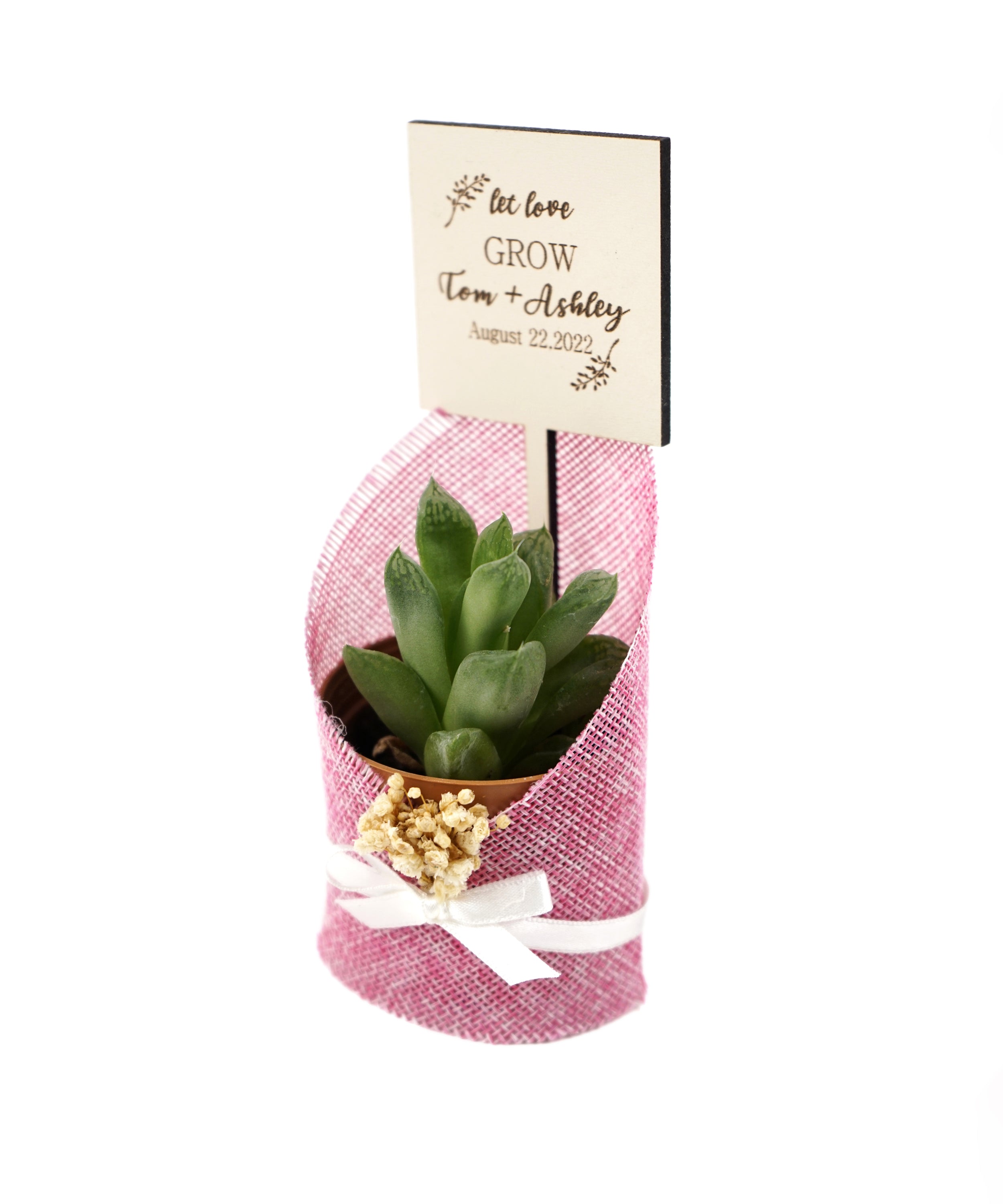 gastgeschenk hochzeit gäste, Sukkulente in dekorativem Sackleinen, hochzeit geschenke für brautpaar, taufe geschenk gäste babyparty, Schön Das Du Da Bist,