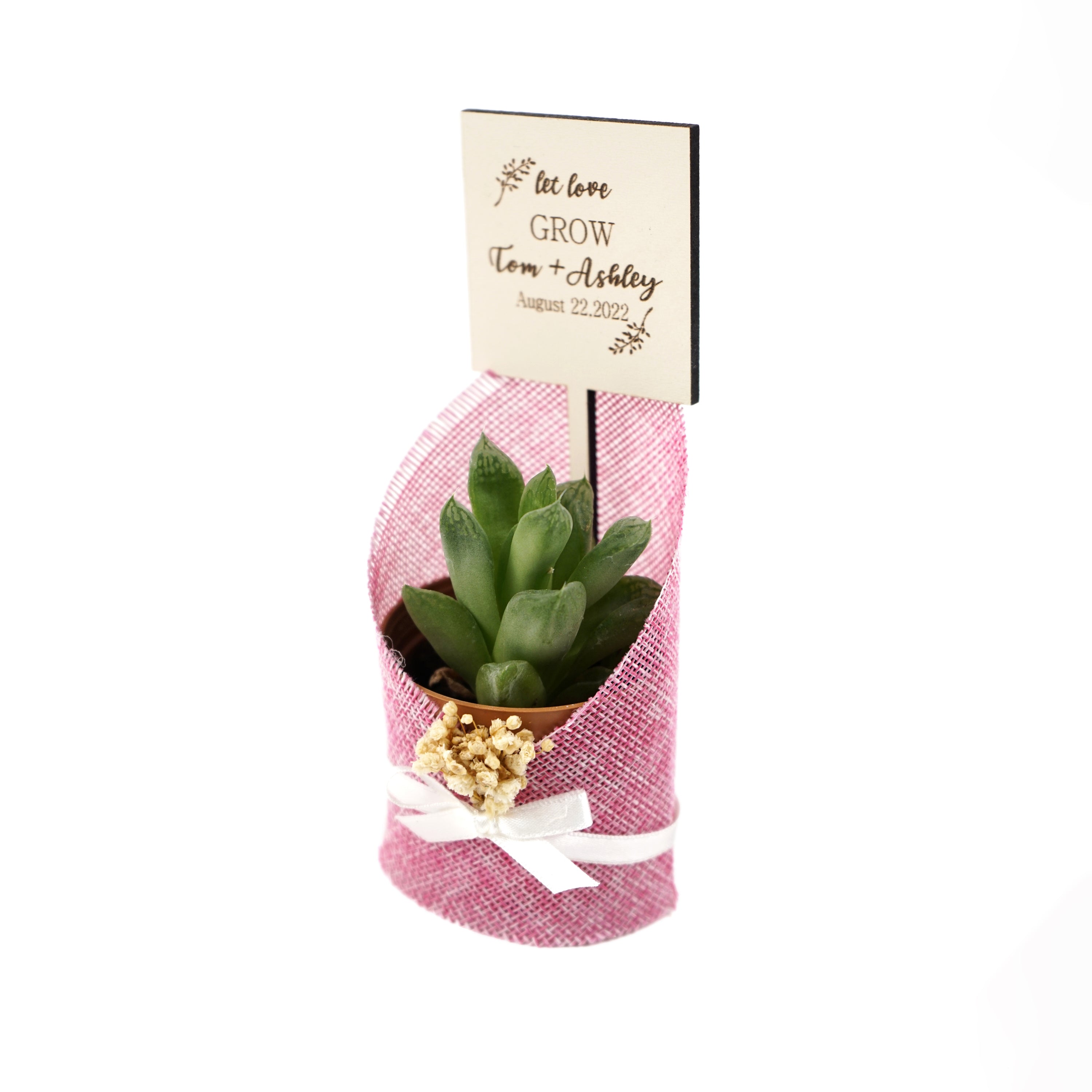 gastgeschenk hochzeit gäste, Sukkulente in dekorativem Sackleinen, hochzeit geschenke für brautpaar, taufe geschenk gäste babyparty, Schön Das Du Da Bist,